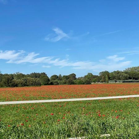 Le Gite Des Poiriers Uzès Exteriör bild